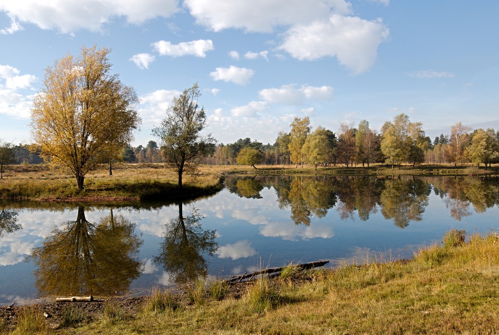baronie van breda leemputten boswachterij dorst mastbos chaamse bossen Liesbos Vuchtpolder hdr bos Strijbeekse Heide staatsbosbeheer